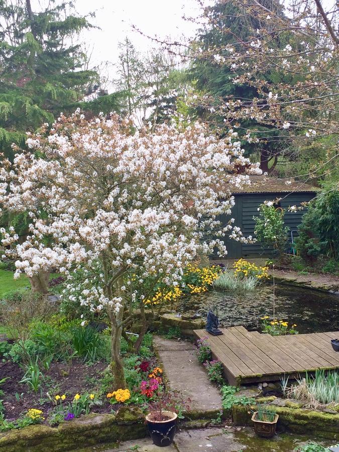 Yew Tree Cottage Leominster Zewnętrze zdjęcie